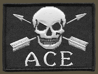ace_logo.jpg